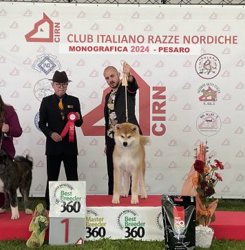 FOTO MONOGRAFICA 2024 AKITA